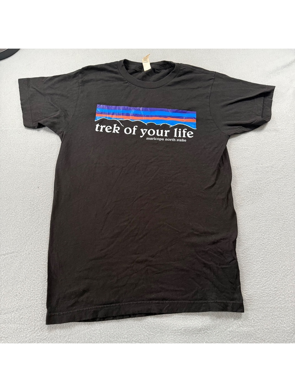 Tultex Patagonia Parody Graphic T-Shirt - "Trek of Your Life"